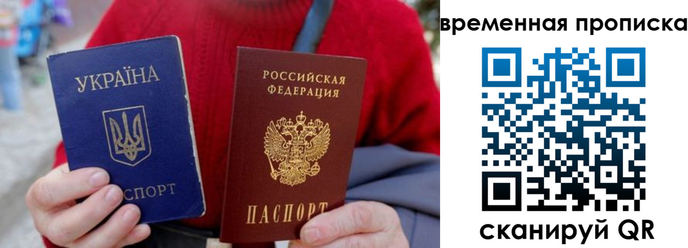 прописка для школы в Мытищах